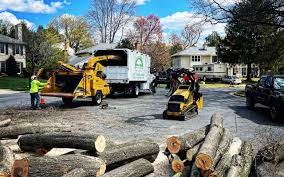 Best Tree Trimming and Pruning  in Riner, VA