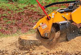 Best Organic Lawn Care Solutions  in Riner, VA