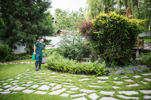 Lawn Grading and Leveling in Riner, VA