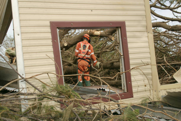 Best Tree and Shrub Care  in Riner, VA